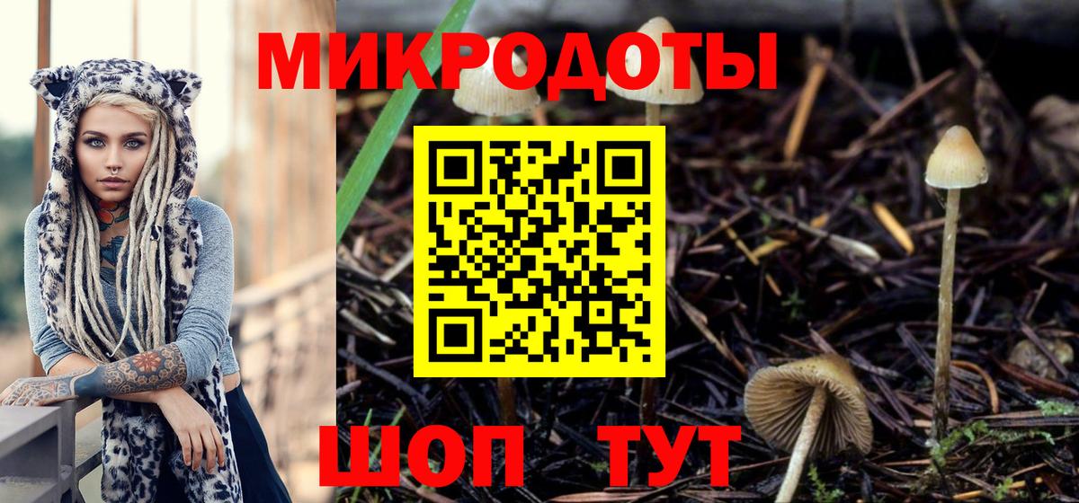 Псилоцибиновые грибы Psilocybine cubensis  закладки  Кузнецк  Галлюциногенные грибы GOLDEN TEACHER  Вход с VPN 